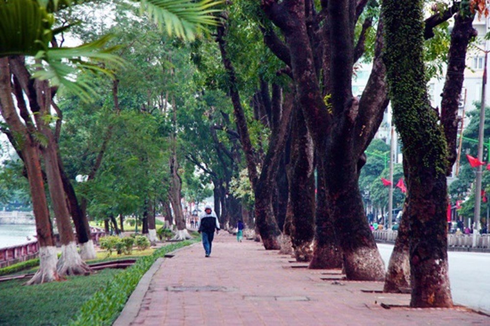 diện tích đất