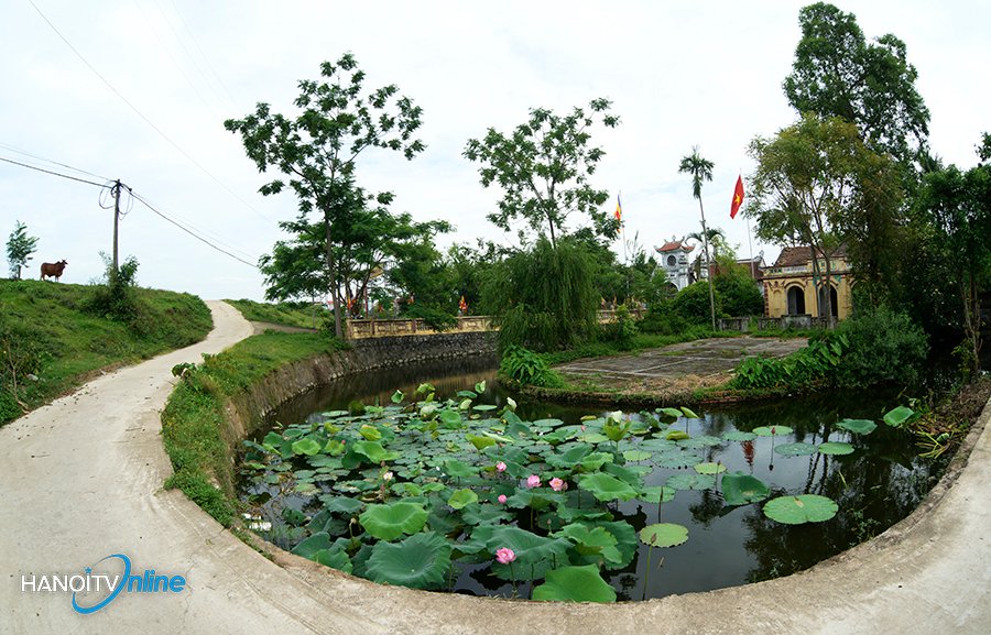Mầu xanh quê hương nơi ngoại thành Hà Nội