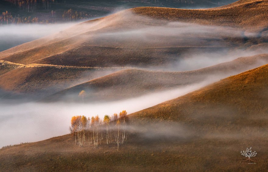 ve-dep-huyen-bi-tren-vung-dat-transylvania-than-thoai