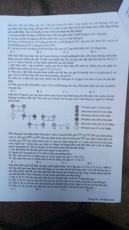 de-thi-va-dap-an-mon-sinh-ma-de-203-ky-thi-thpt-quoc-gia-2018