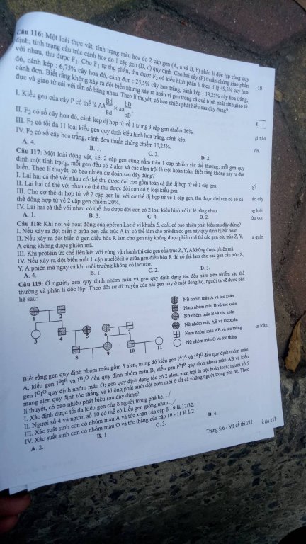 de-thi-va-dap-an-mon-sinh-ma-de-211-ky-thi-thpt-quoc-gia-2018
