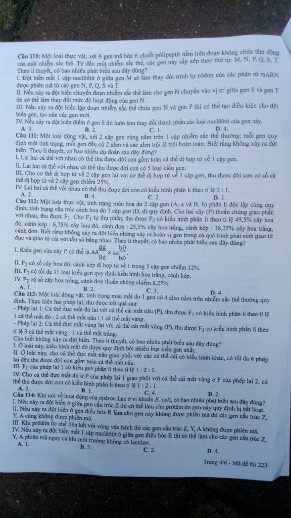 de-thi-va-dap-an-mon-sinh-thpt-quoc-gia-2018-ma-de-223-bb-baaacCIpPB