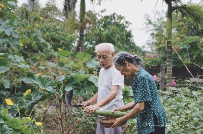 Ngày gia đình Việt Nam: ngỡ ngàng bộ ảnh 'Ông bà anh'