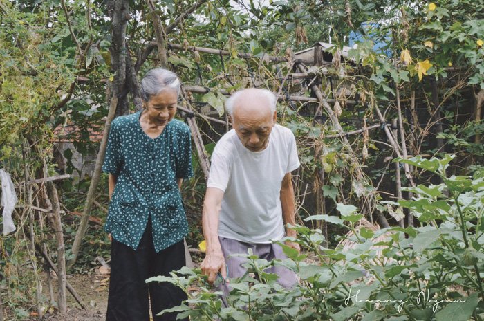 Ngày gia đình Việt Nam: ngỡ ngàng bộ ảnh 'Ông bà anh'