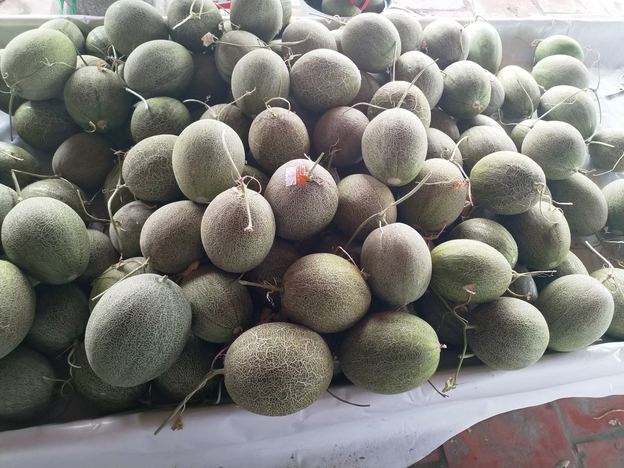 gac-lai-viec-du-hoc-tro-ve-viet-nam-trong-dua-luoi