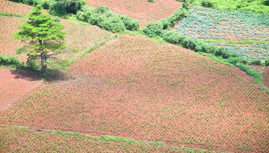 Một thoáng Tây Nguyên lắng đọng trong những chuyến đi