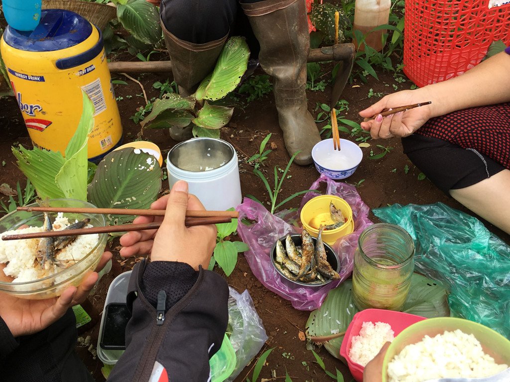 Một thoáng Tây Nguyên lắng đọng trong những chuyến đi