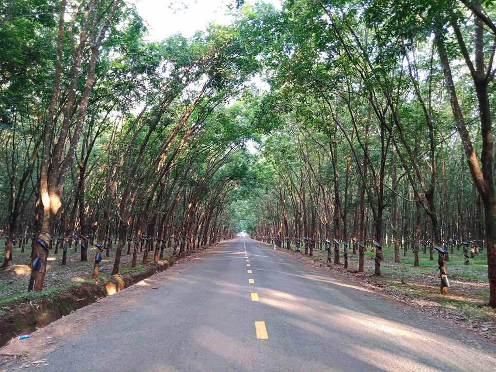 Một thoáng Tây Nguyên lắng đọng trong những chuyến đi