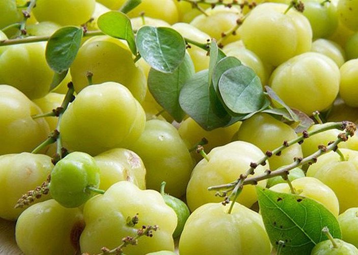 Điều thú vị về quả chùm ruột đặc sản Cần Thơ