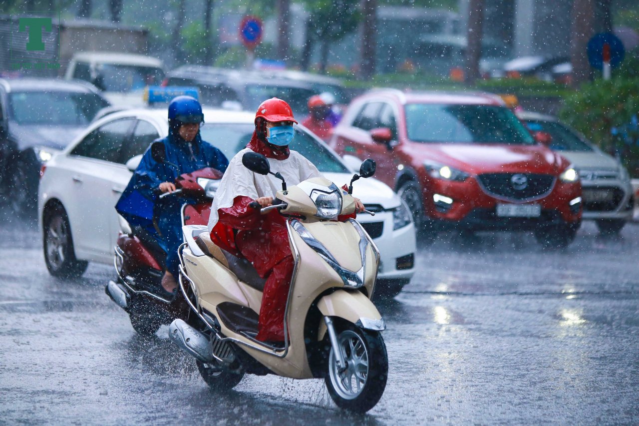 ha-noi-don-con-mua-vang-danh-tan-nang-nong