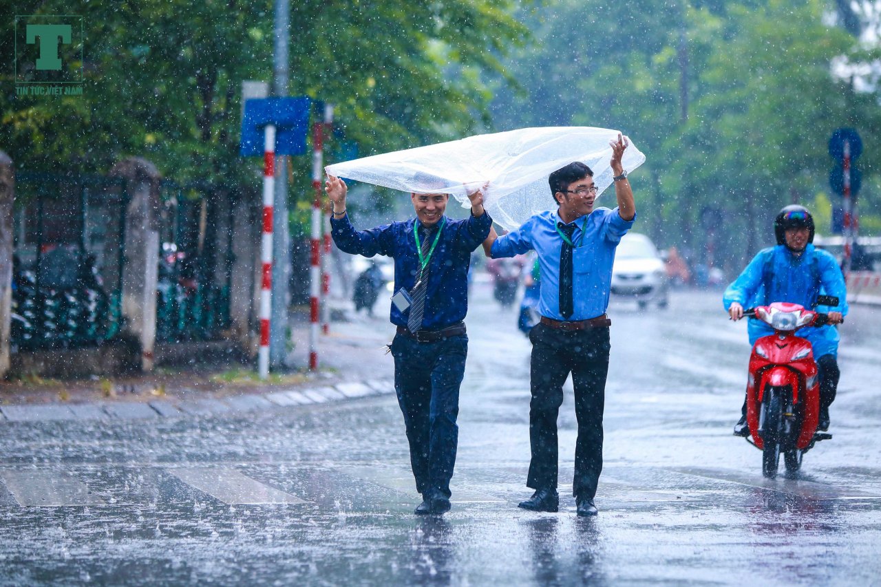 ha-noi-don-con-mua-vang-danh-tan-nang-nong