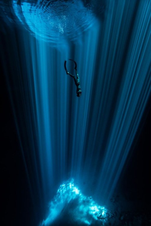 loat-anh-duoi-nuoc-dep-den-nghet-tho-trong-cuoc-thi-anh-underwater-photographer-of-the-year-2018