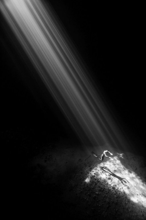 loat-anh-duoi-nuoc-dep-den-nghet-tho-trong-cuoc-thi-anh-underwater-photographer-of-the-year-2018