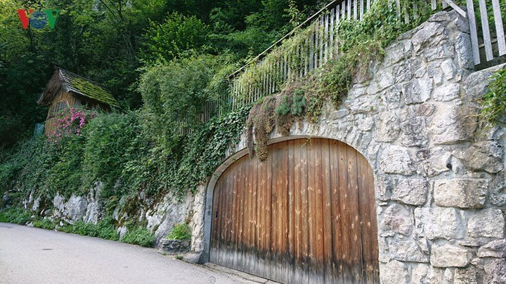 Làng cổ Hallstatt- một điểm du lịch hấp dẫn của nước Áo
