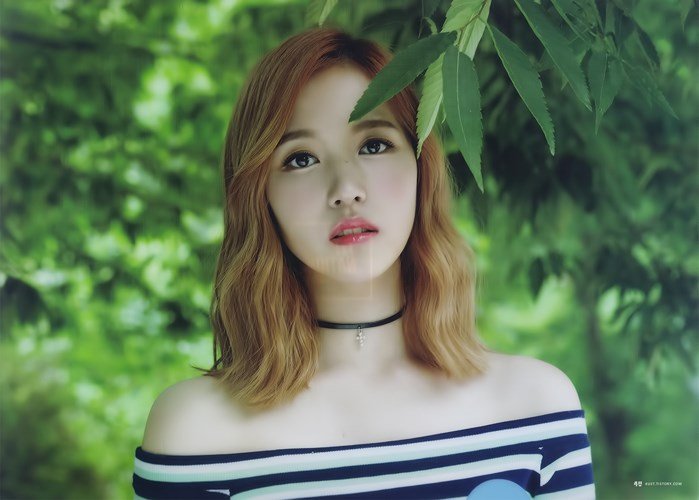 Ngắm vẻ đẹp của 