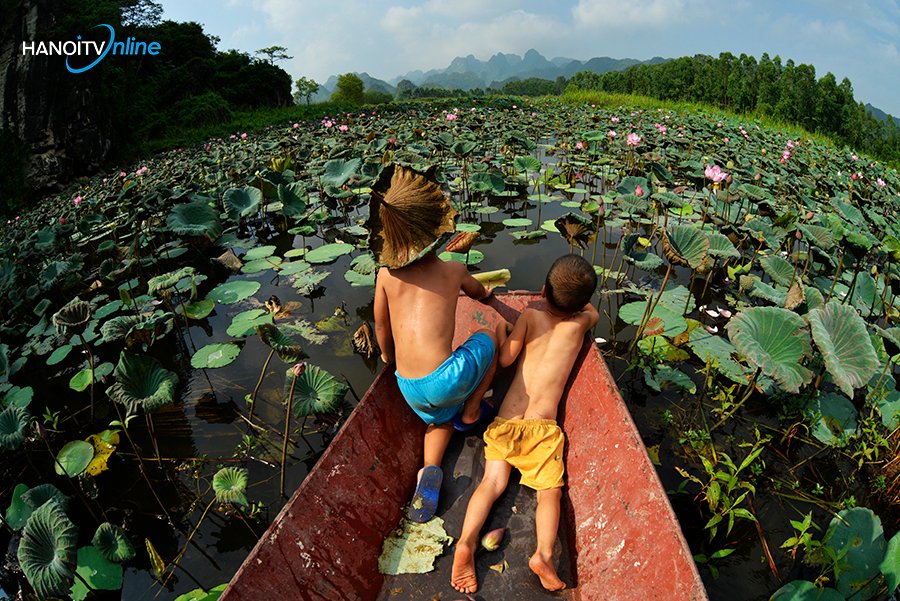 Ngộ nghĩnh tuổi thơ mùa hè