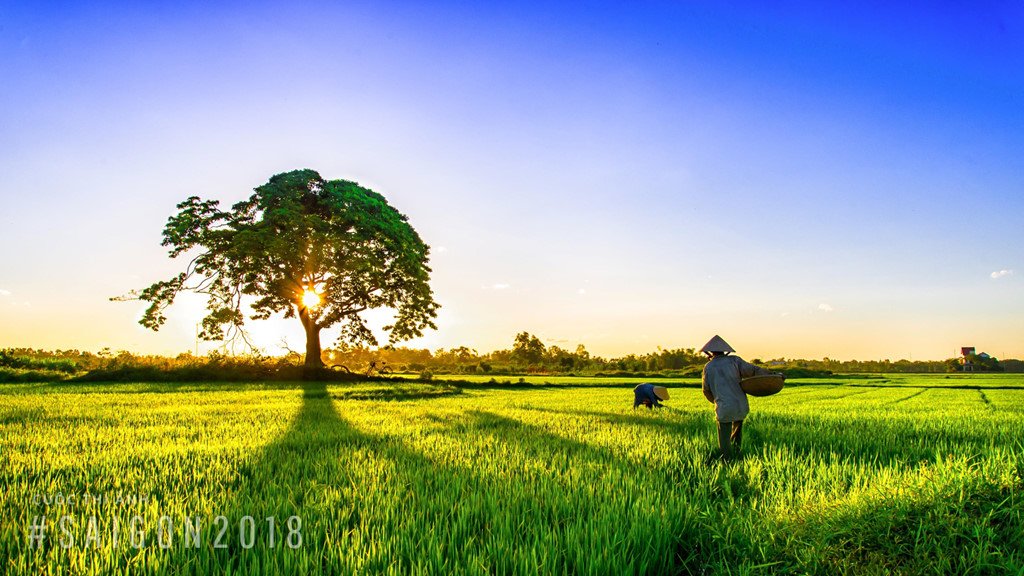 Khoảnh khắc rực rỡ núi non, đô thị, biển cả Việt Nam