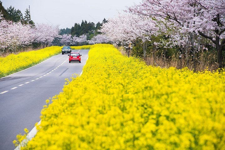 Gợi ý những địa điểm cầu hôn khiến nàng 