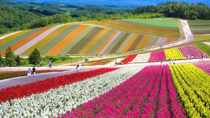 Đường ven biển Nha Trang - Quy Nhơn là một trong 5 con đường đẹp nhất châu Á