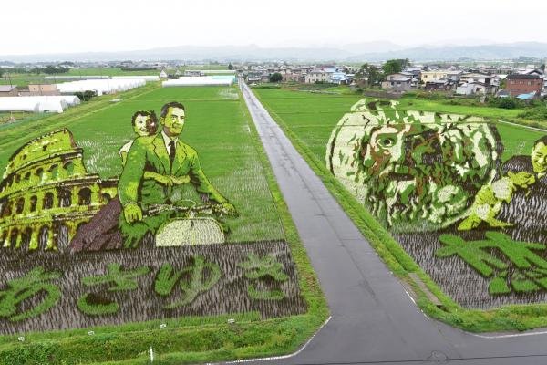 nhat-ban-khi-nghe-thuat-la-nhung-buc-tranh-nong-nghiep-day-sac-mau