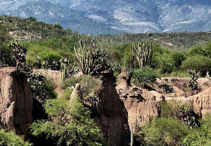 Vẻ đẹp của 19 di sản thế giới vừa được UNESCO công nhận