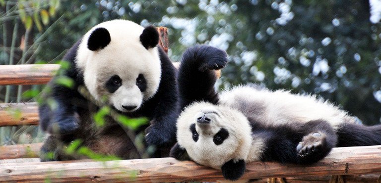 6 điểm đến kỳ ảo và mơ mộng trong trí tưởng tượng trẻ thơ