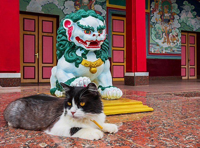 Ảnh: Những ngôi đền Phật giáo đẹp đến ngỡ ngàng ở Nga