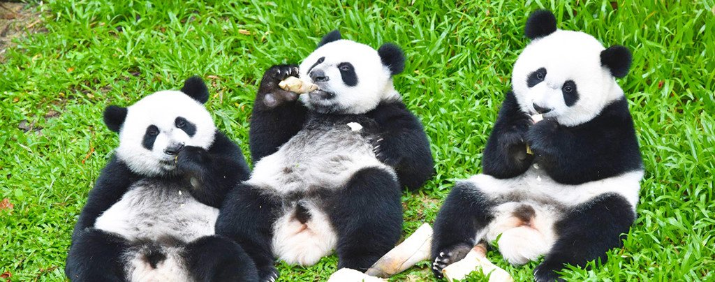 6 điểm đến kỳ ảo và mơ mộng trong trí tưởng tượng trẻ thơ