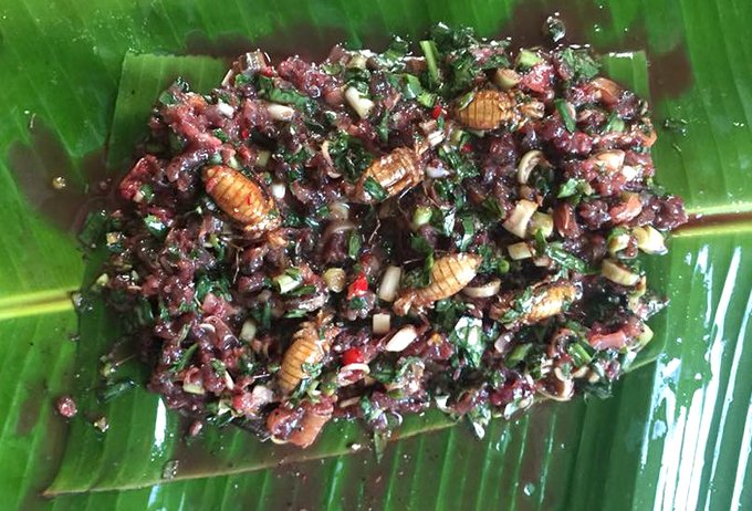 nhung-dac-san-tay-bac-thach-thuc-su-can-dam-cua-thuc-khach
