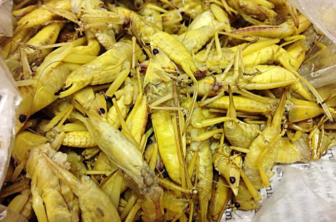 nhung-dac-san-tay-bac-thach-thuc-su-can-dam-cua-thuc-khach