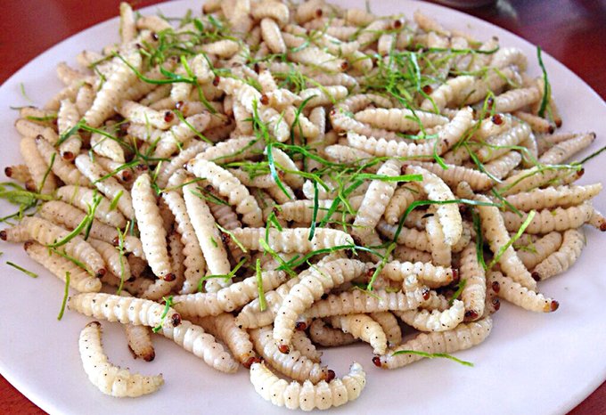 nhung-dac-san-tay-bac-thach-thuc-su-can-dam-cua-thuc-khach