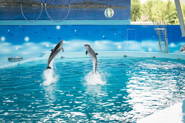 5 địa điểm ở Hà Nội cho cả gia đình vui chơi cuối tuần
