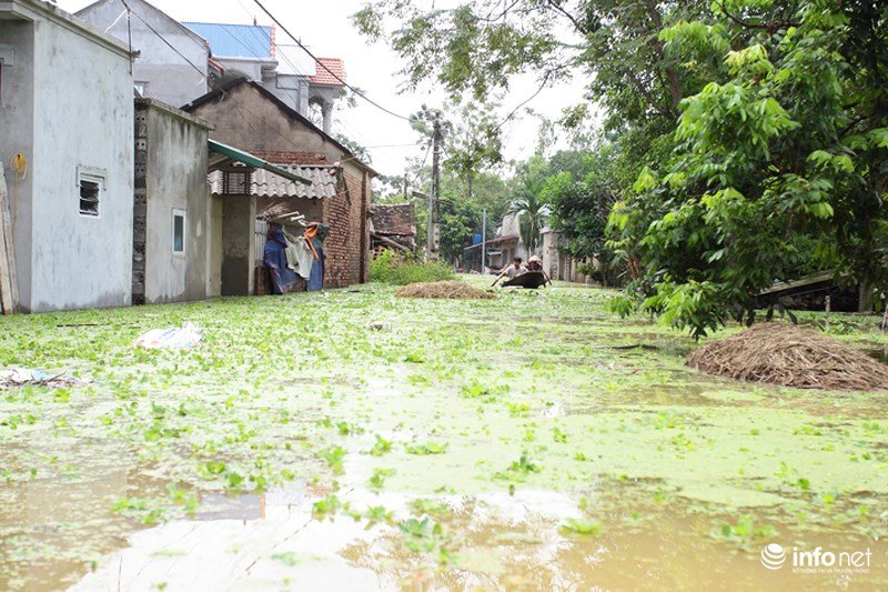 Sau hơn 1 ngày vỡ đê, dân Chương Mỹ vẫn ngụp lặn trong biển nước