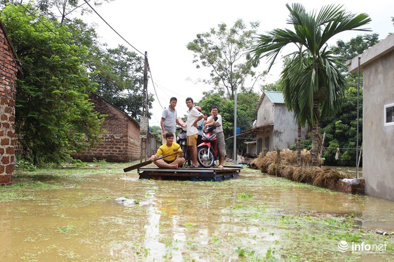 Sau hơn 1 ngày vỡ đê, dân Chương Mỹ vẫn ngụp lặn trong biển nước