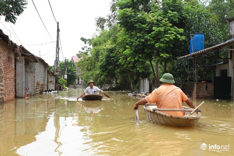 Sau hơn 1 ngày vỡ đê, dân Chương Mỹ vẫn ngụp lặn trong biển nước