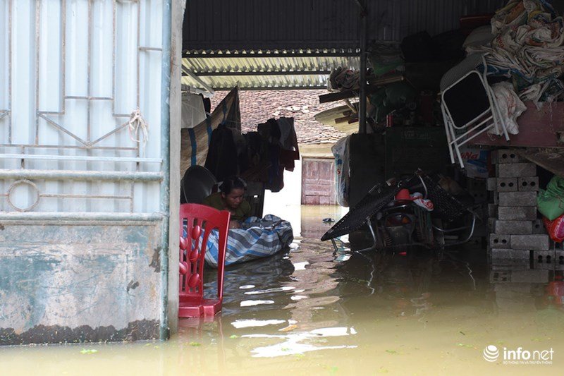 Sau hơn 1 ngày vỡ đê, dân Chương Mỹ vẫn ngụp lặn trong biển nước