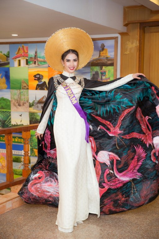 phan-thi-mo-lot-top-10-trang-phuc-eco-tourism-voi-ao-dai-theu-hong-hac-an-tuong