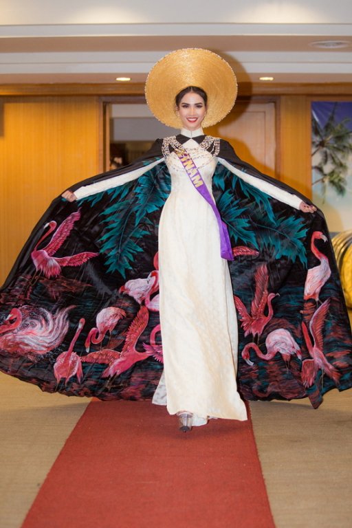 phan-thi-mo-lot-top-10-trang-phuc-eco-tourism-voi-ao-dai-theu-hong-hac-an-tuong