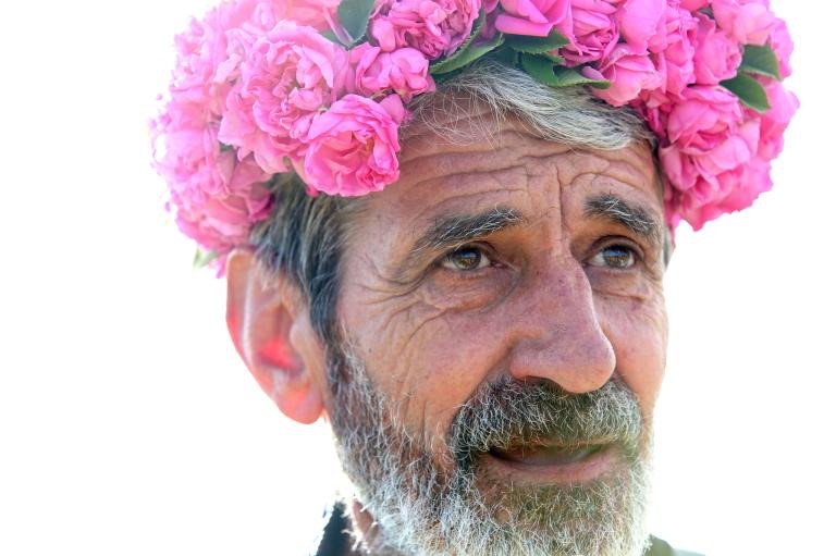 Thung lũng hoa hồng thơ mộng giữa núi đồi Bulgaria