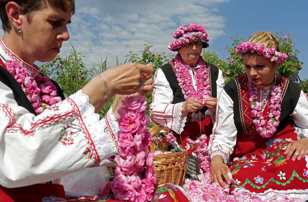 Thung lũng hoa hồng thơ mộng giữa núi đồi Bulgaria