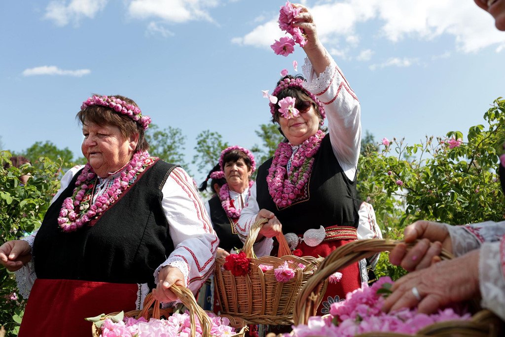 Thung lũng hoa hồng thơ mộng giữa núi đồi Bulgaria
