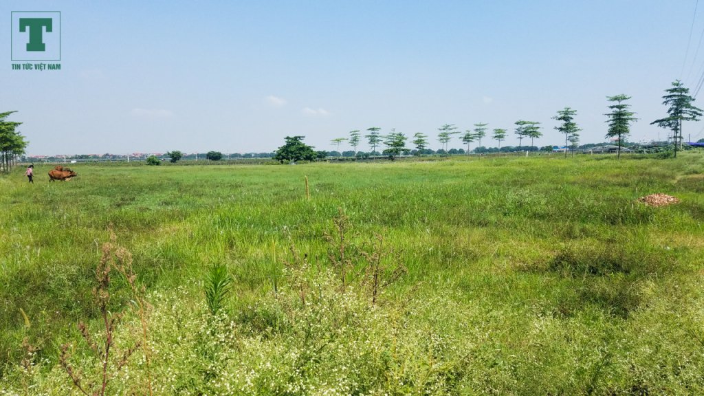 Dự án KĐT AIC