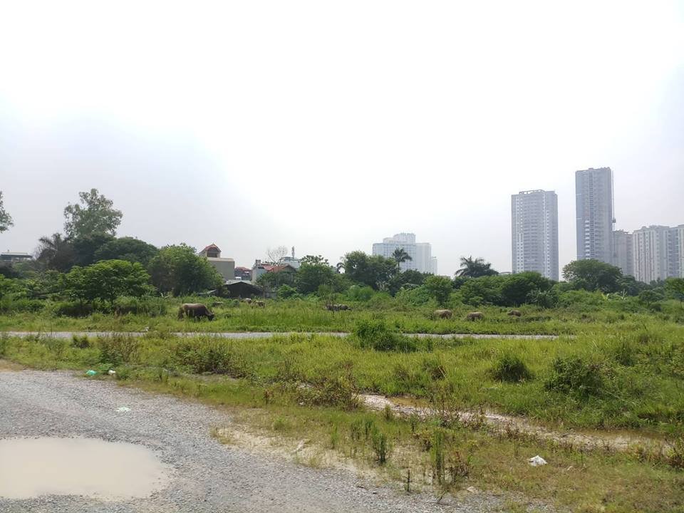 cham-tien-do-14-nam-du-an-kdt-moi-thinh-liet-se-bi-thu-hoi