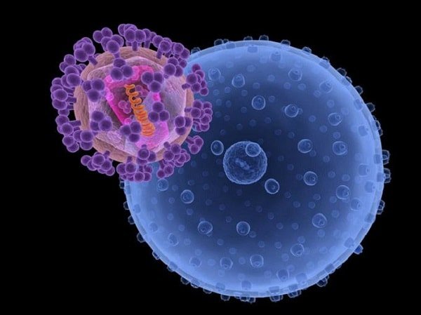 hiv-la-gi-hiv-chuyen-sang-aids-mat-bao-lau
