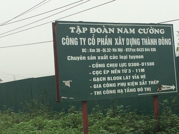 tap-doan-nam-cuong-dai-gia-bds-om-hang-nghin-ha-dat-roi-bo-hoang