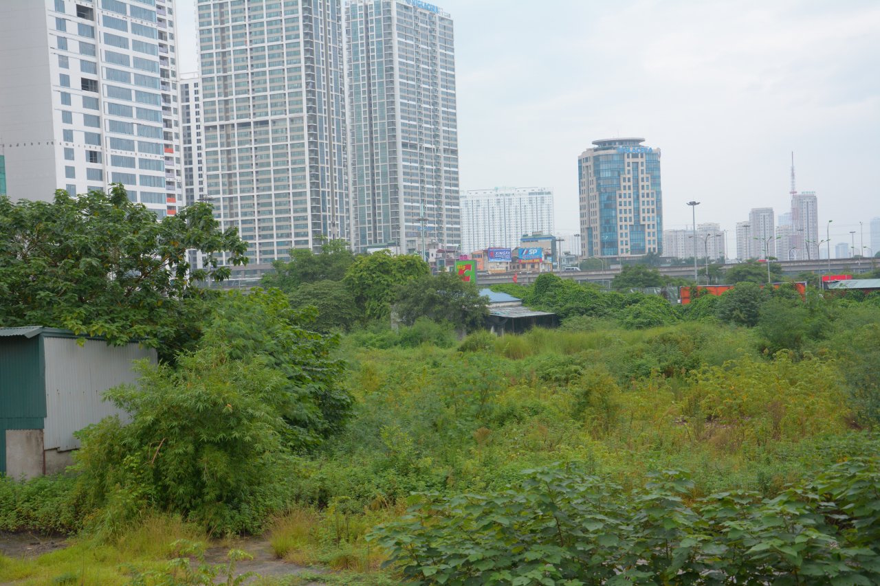 dat-vang-trung-tam-bo-hoang-gan-1-thap-ky
