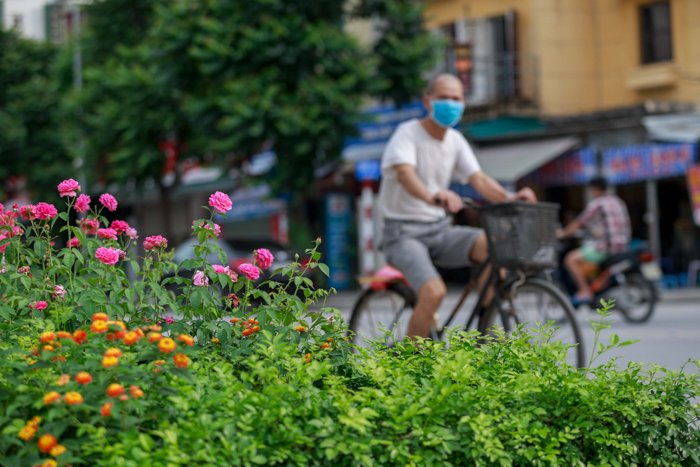 ha-noi-co-mot-con-pho-trong-toan-hoa-hong-dep-den-khong-ngo