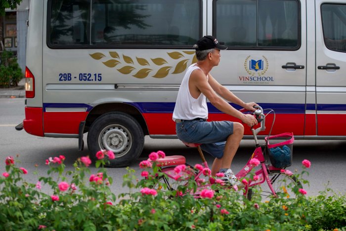 ha-noi-co-mot-con-pho-trong-toan-hoa-hong-dep-den-khong-ngo