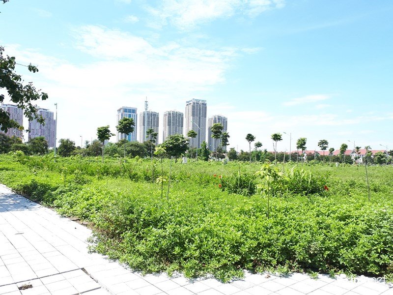 Tập đoàn Nam Cường
