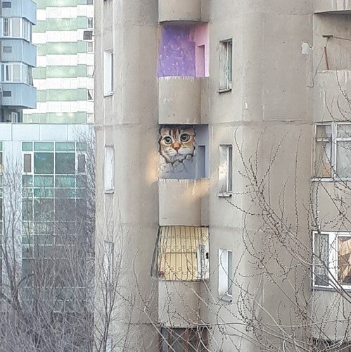 Sự kỳ diệu của nghệ thuật đường phố